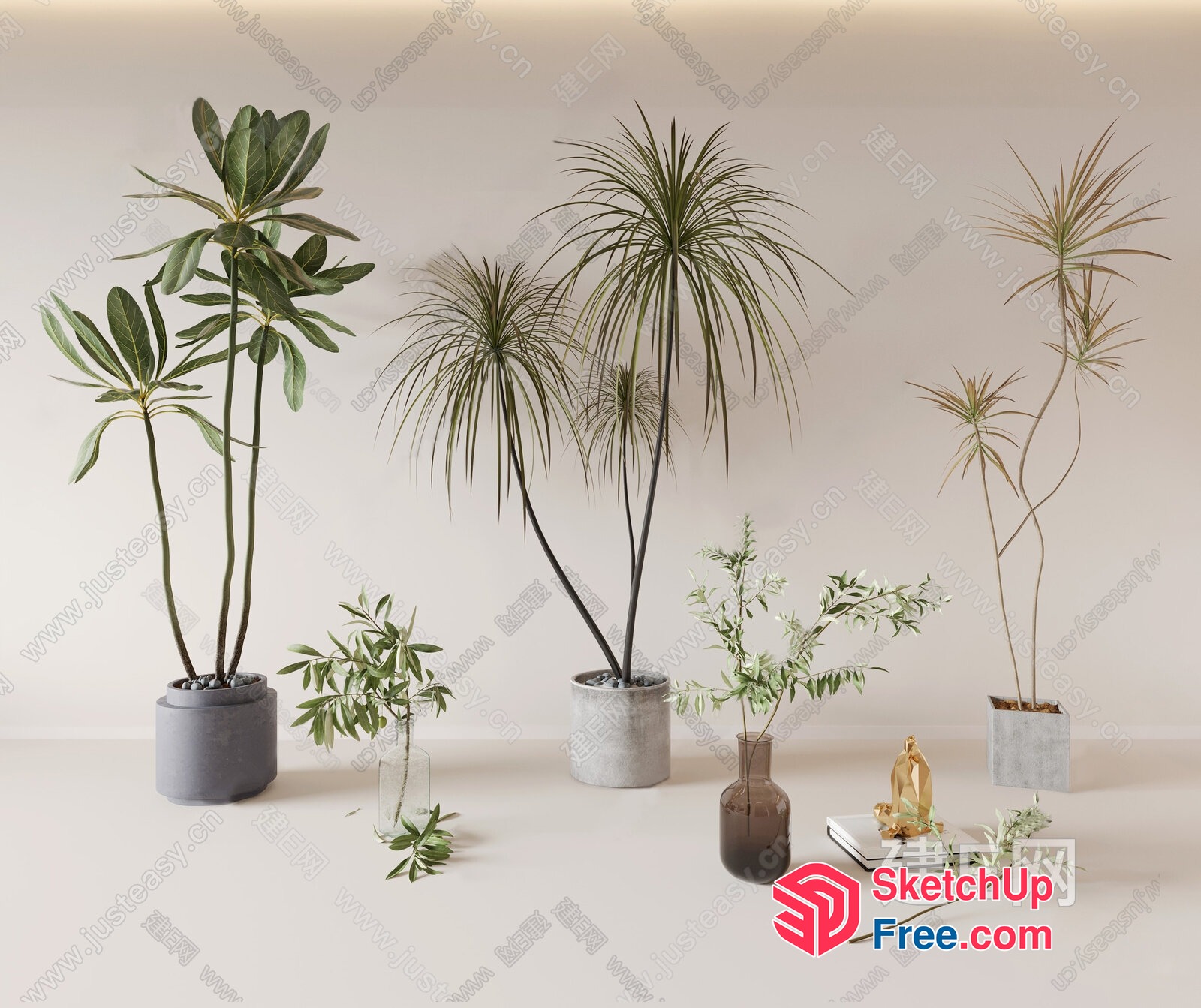 Potted Plants And Decorative Items On A Light-Colored Background 3D SketchUp File