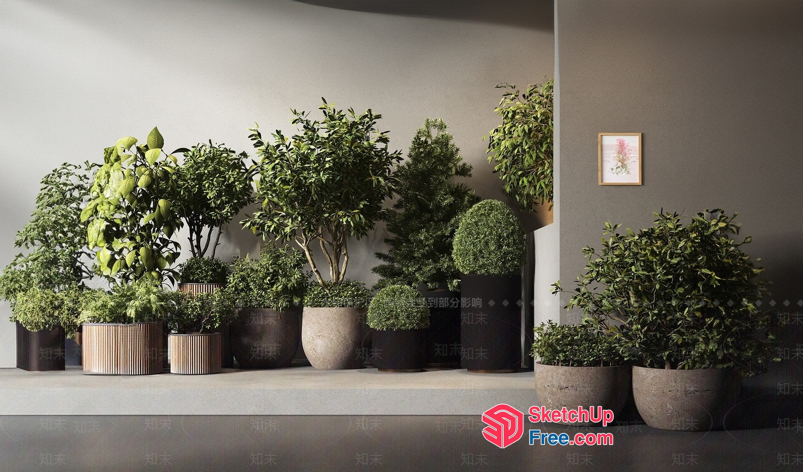 Potted Plants In Modern Decorative Pots 3D SketchUp File
