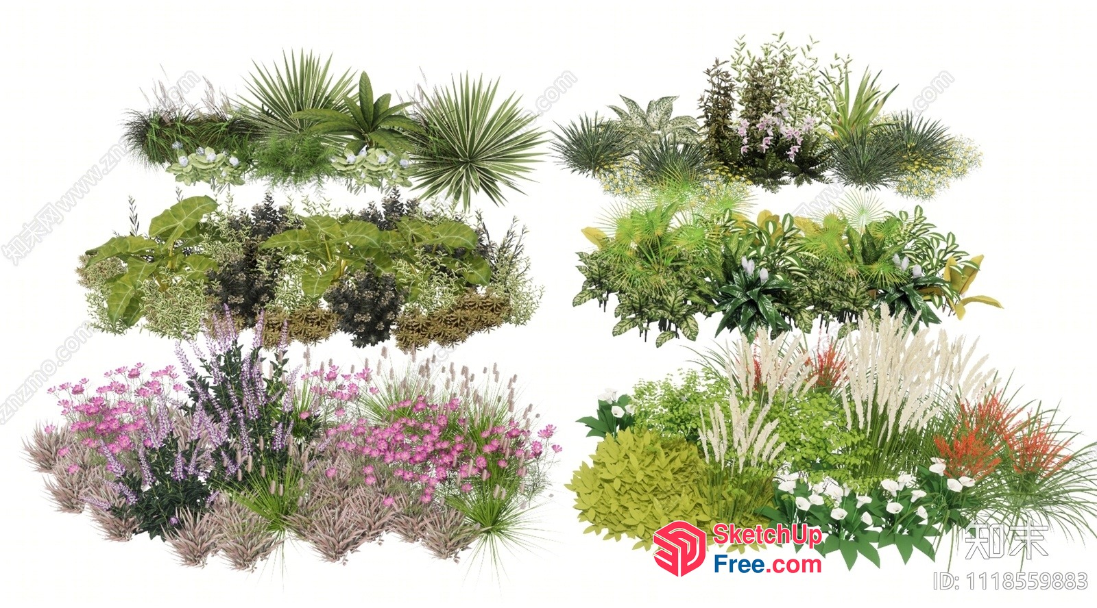 A Variety Of Plants And Flowers 3D SketchUp File