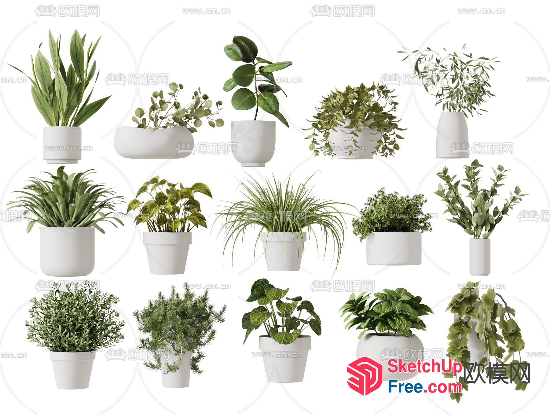 Potted Plants In White Pots 3D SketchUp File
