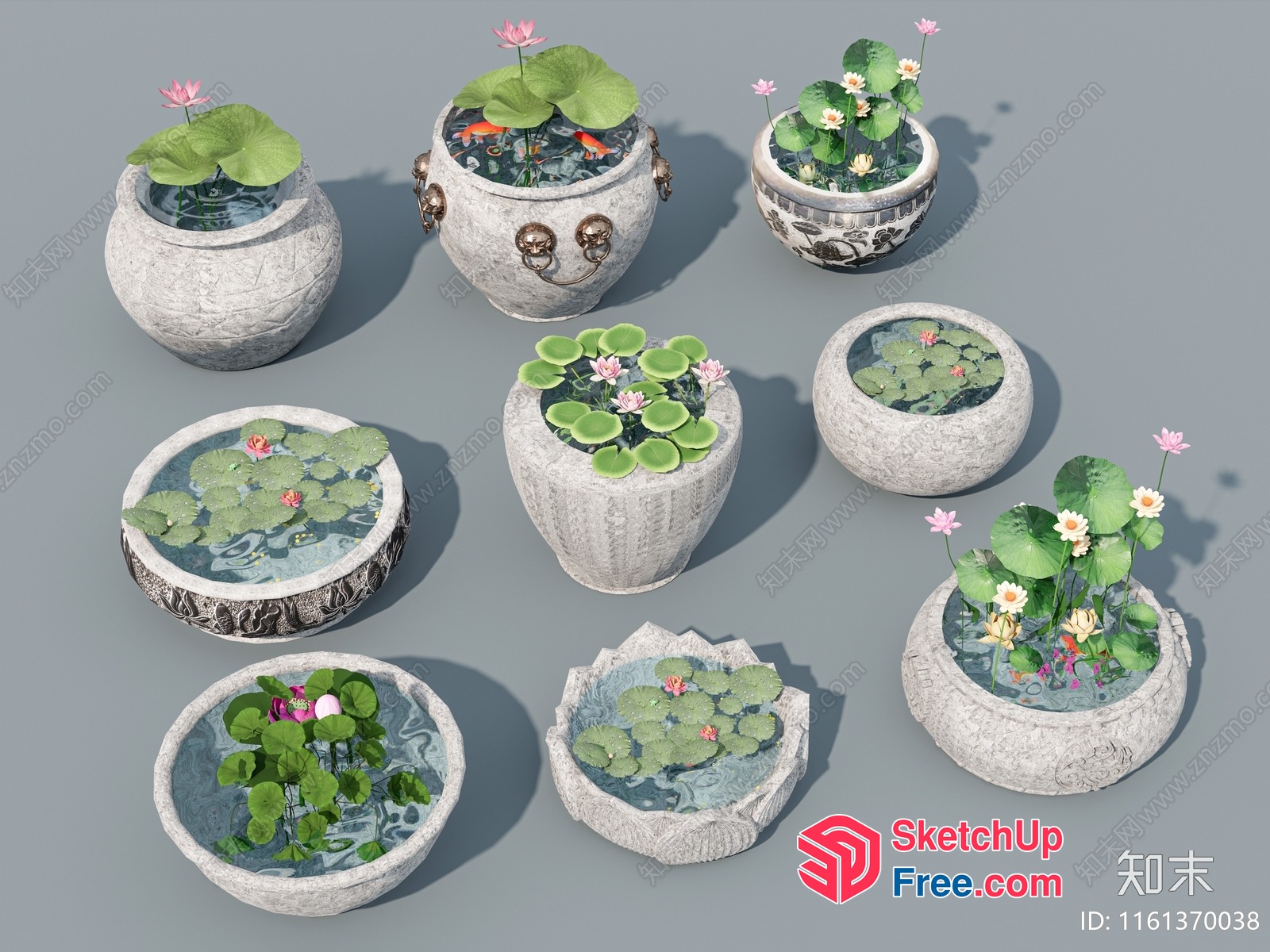 Decorative Potted Plants In Water Features 3D SketchUp File