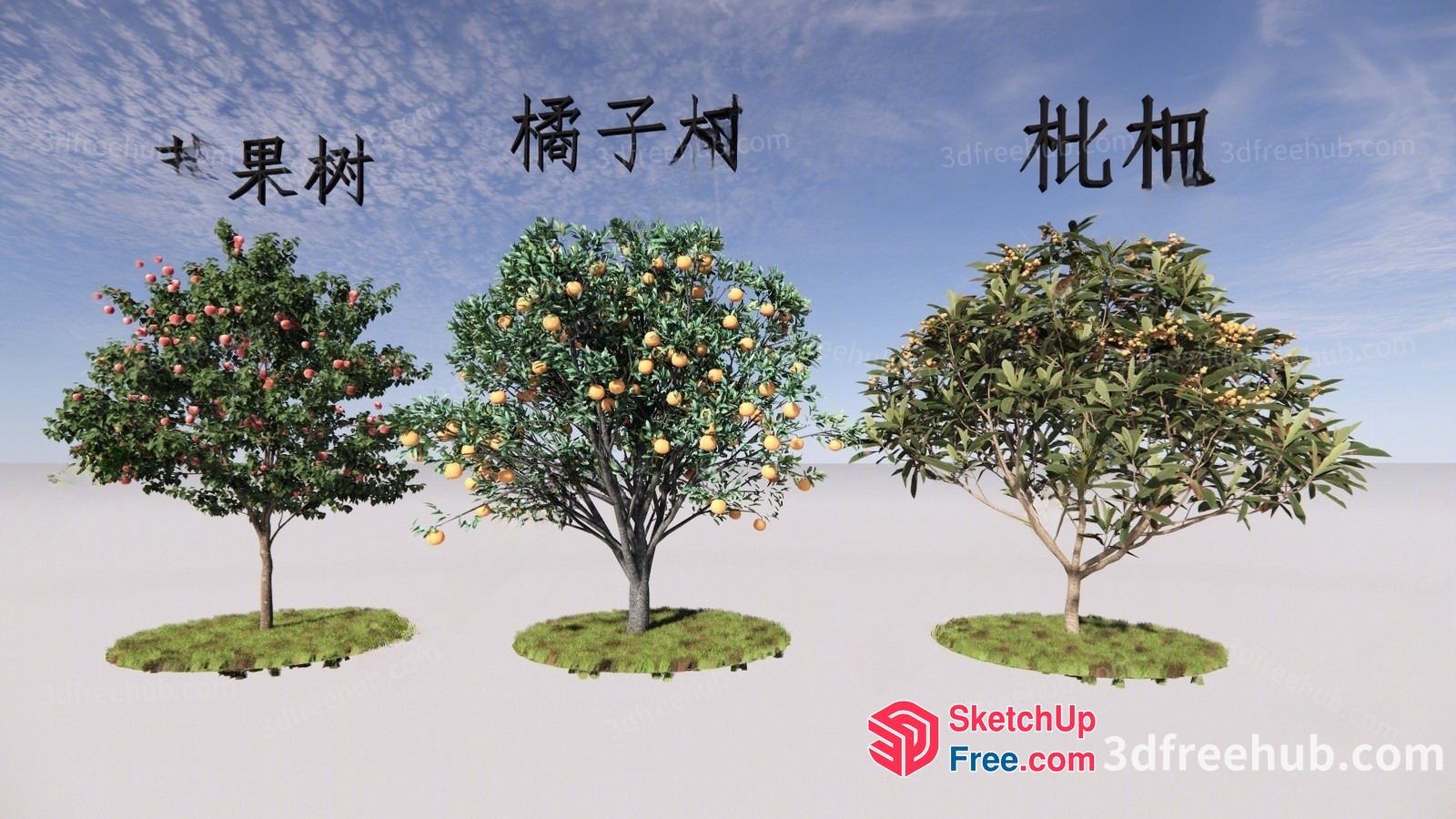 Three Trees With Fruit And Leaves 3D SketchUp File