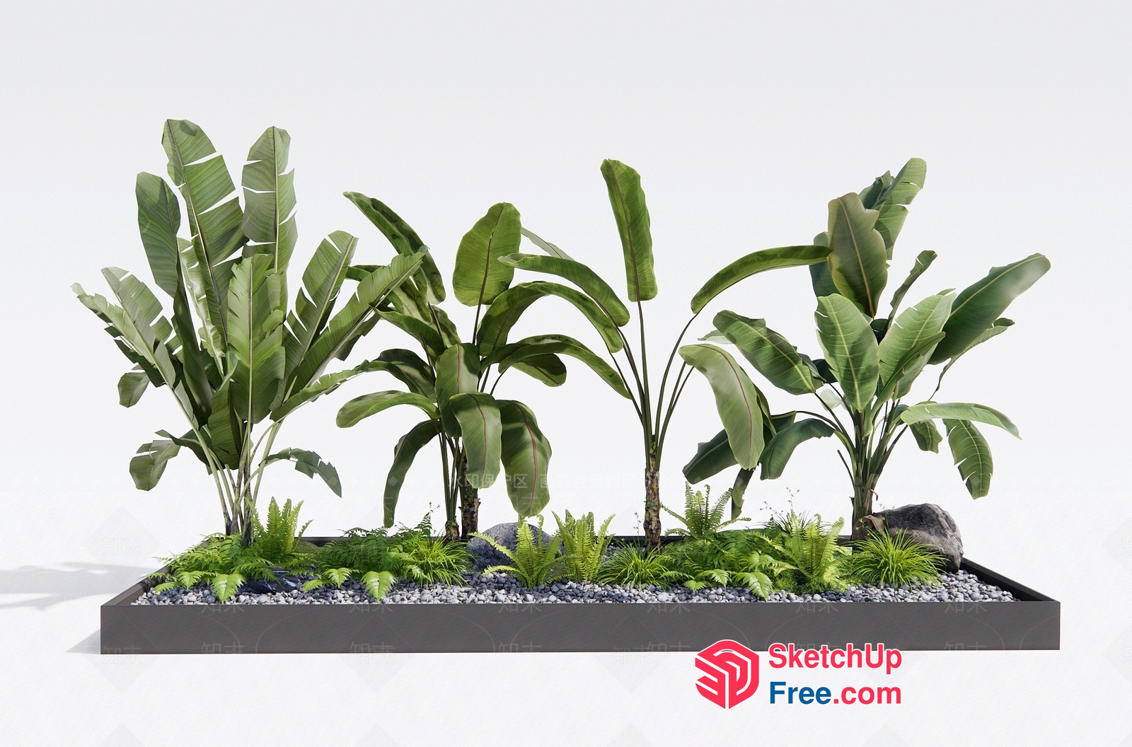 Tropical Greenery Arrangement In Rectangular Planter 3D SketchUp File