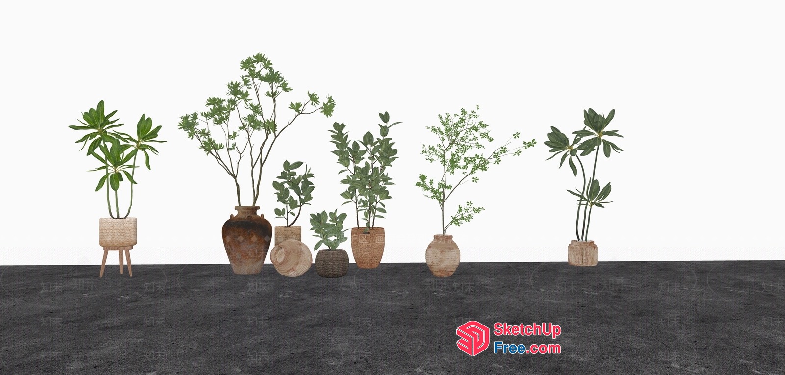 Potted Plants On Table 3D SketchUp File