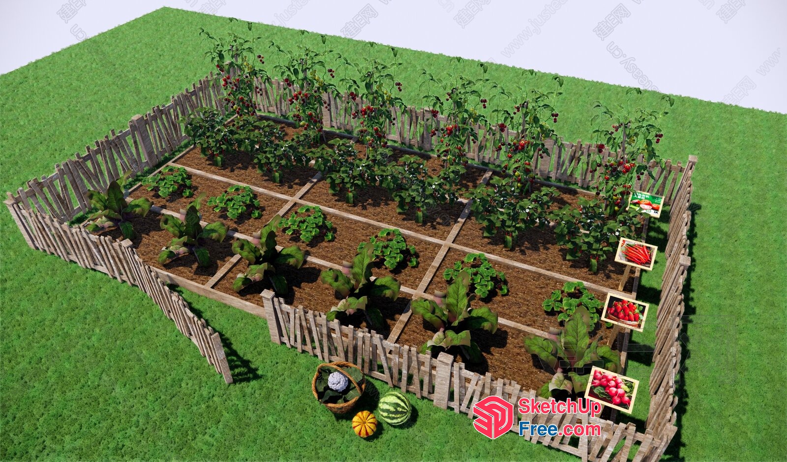 3D Model Of A Garden With Various Plants And Vegetables 3D SketchUp File