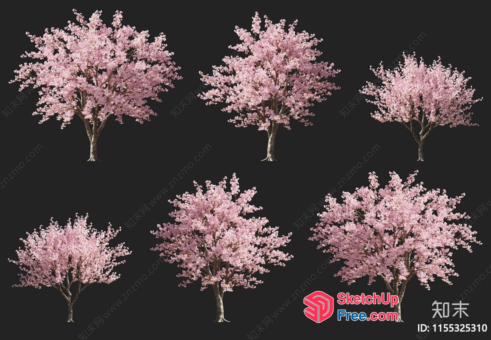 Cherry Blossom Tree Set 3D SketchUp File