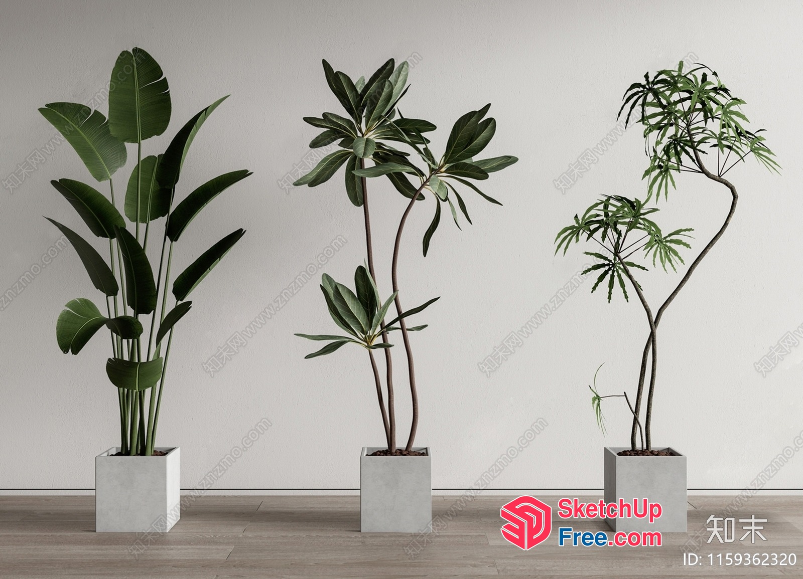 Potted Plants In White Pots 3D SketchUp File