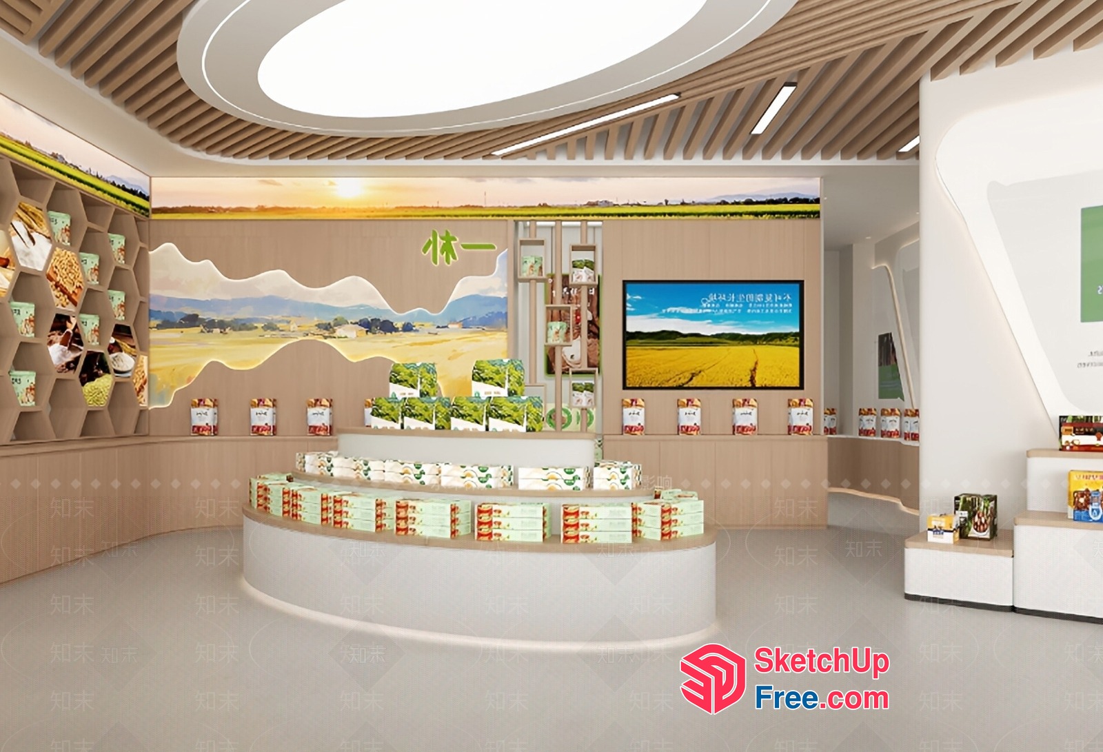 Modern Retail Space With Curved Display And Natural Elements 3D SketchUp File