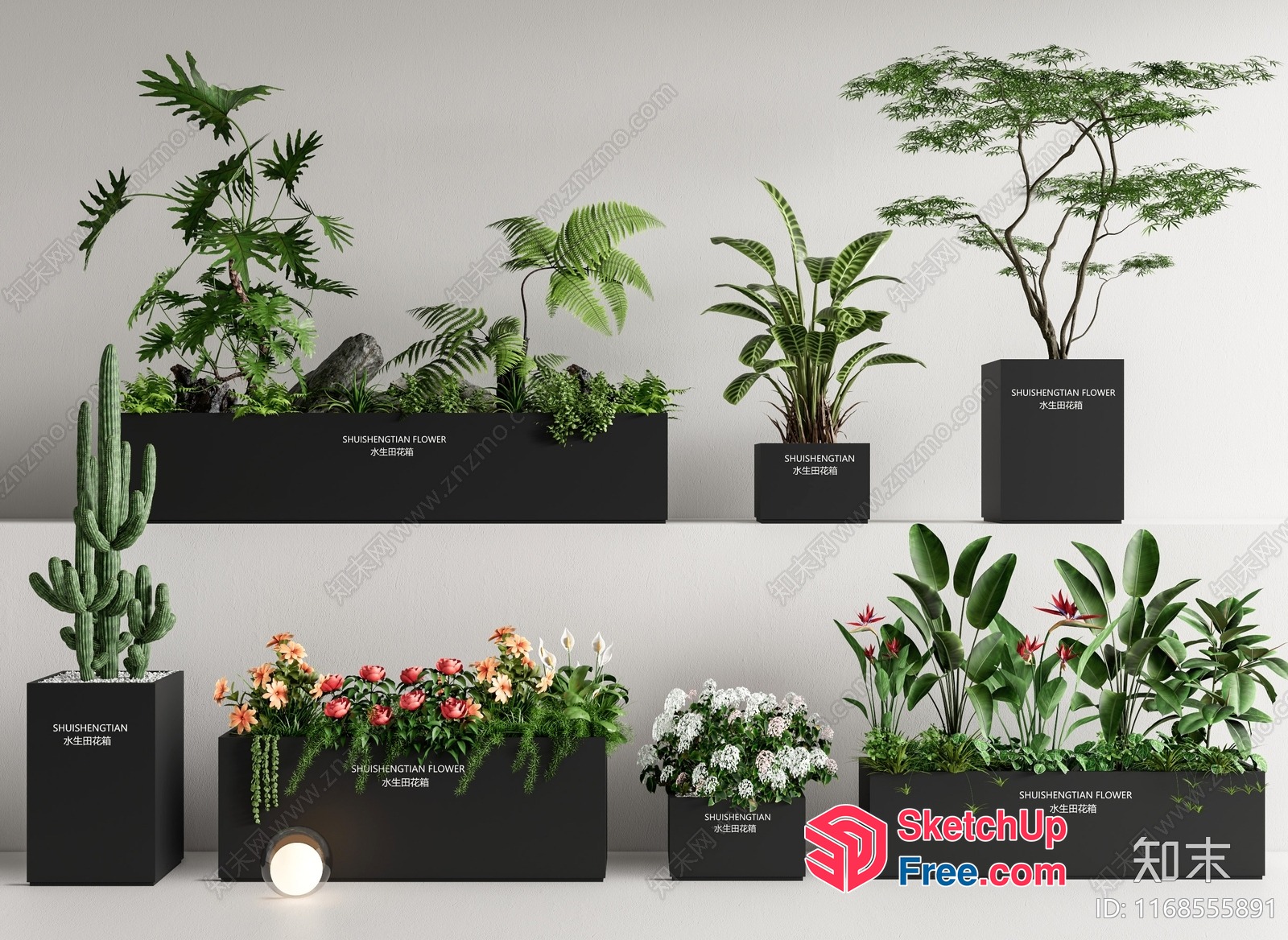 Decorative Potted Plants In Modern Planters 3D SketchUp File