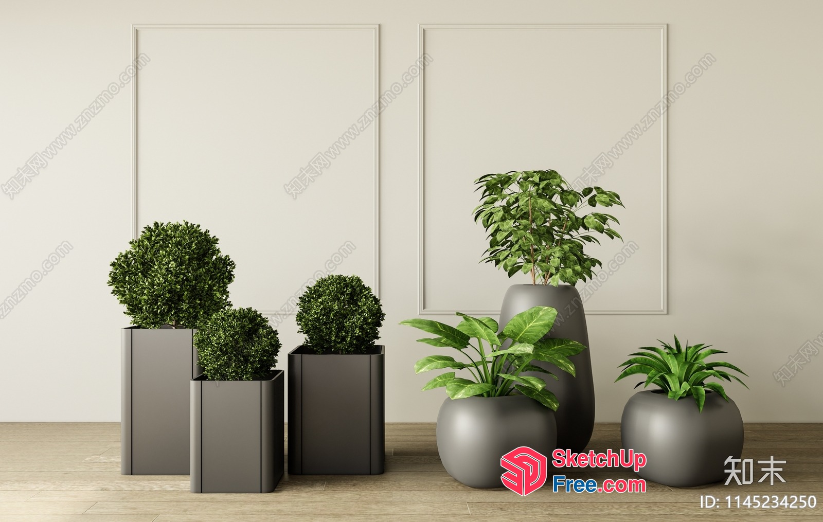 Potted Plants In Modern Grey Vases 3D SketchUp File