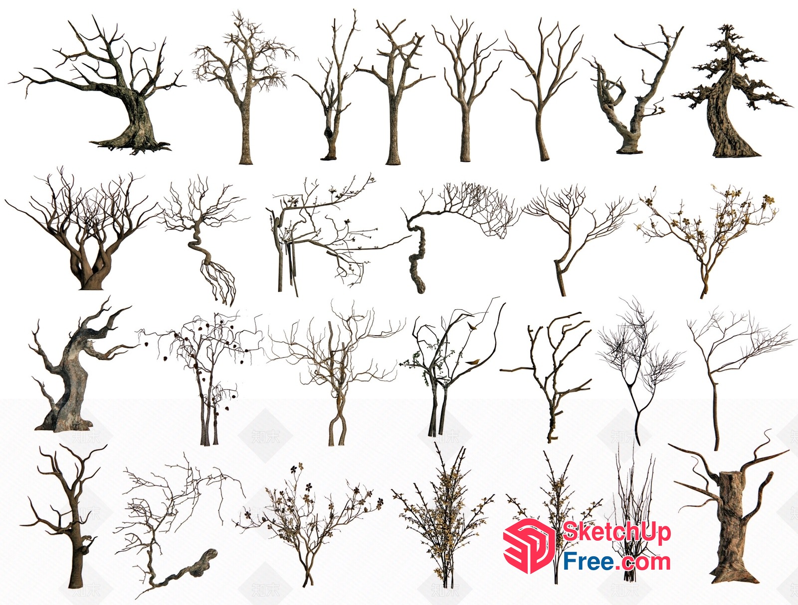 Bare And Twisted Trees 3D SketchUp File