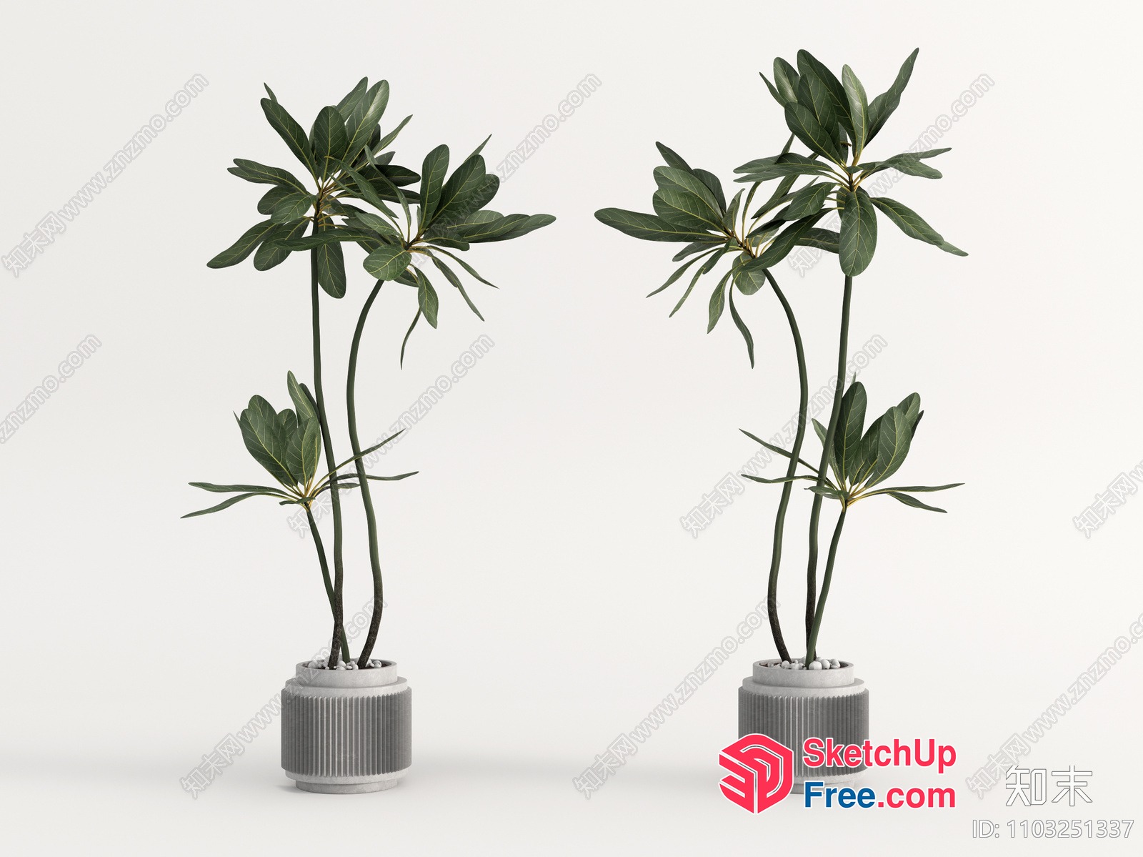 Two Tall Plants In Pots 3D SketchUp File