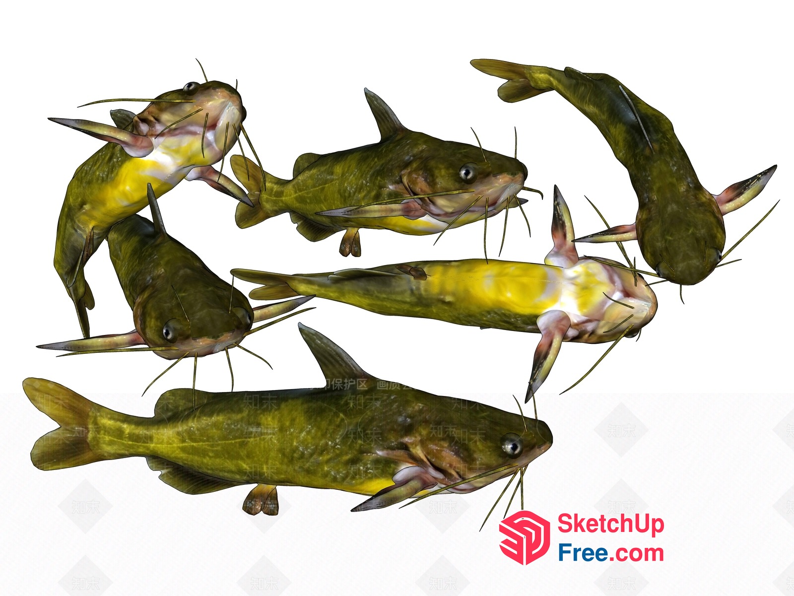 Green Fish In The Shape Of A Circle 3D SketchUp File
