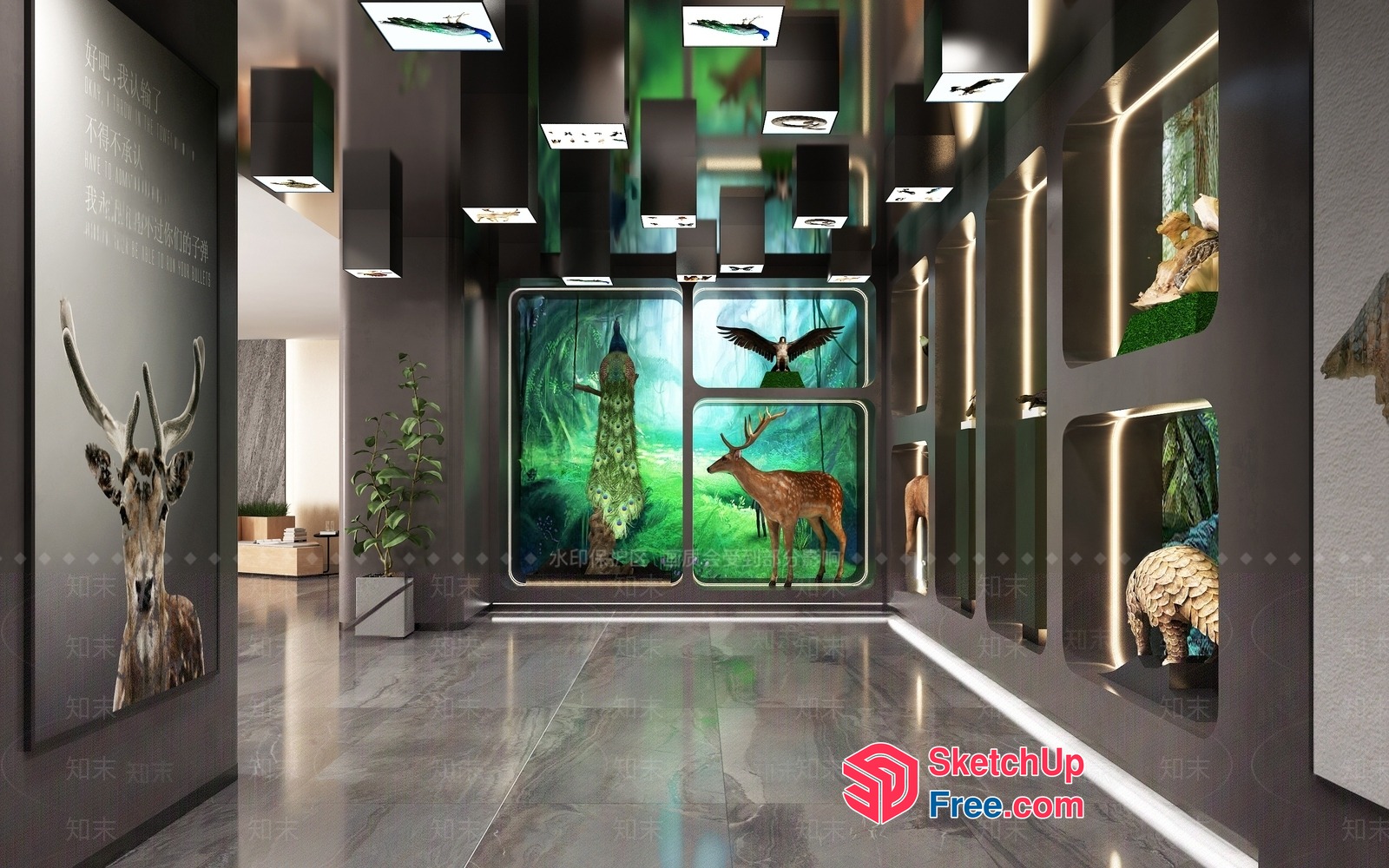 Exquisite Animal Artwork Gallery 3D SketchUp File