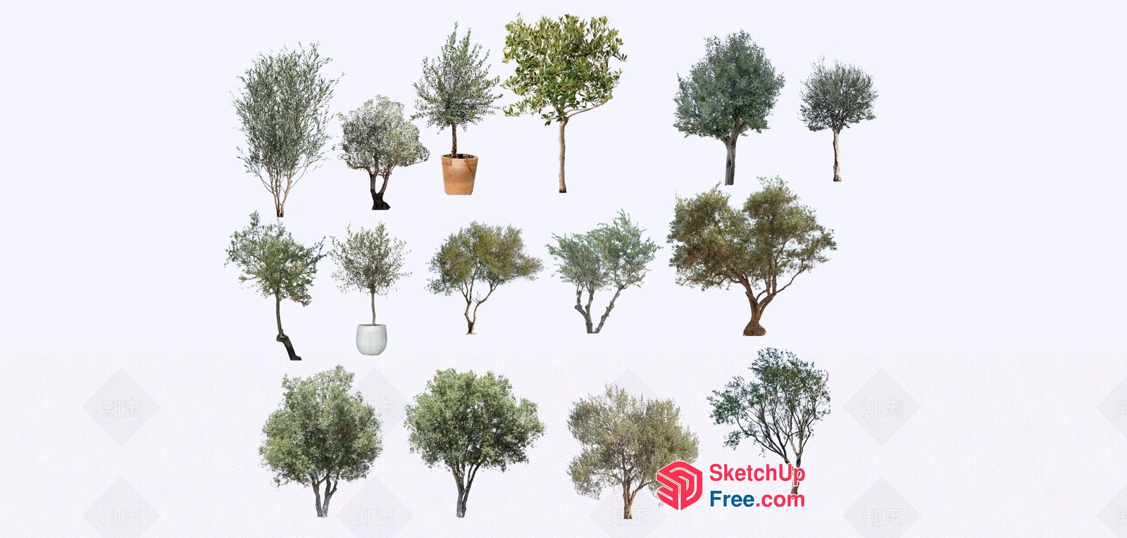 Exotic Plant Collection 3D SketchUp File