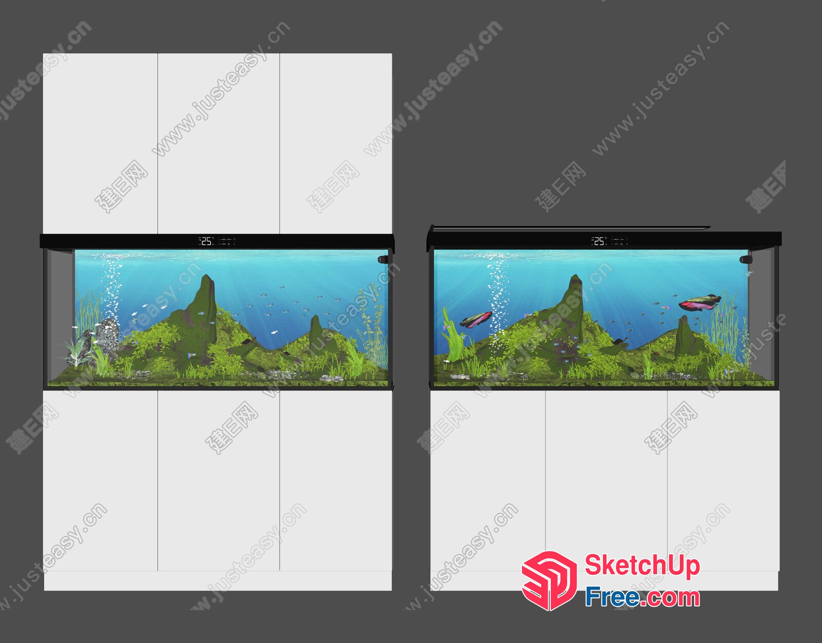 Modern Aquarium Display With Vibrant Fish And Plants 3D SketchUp File