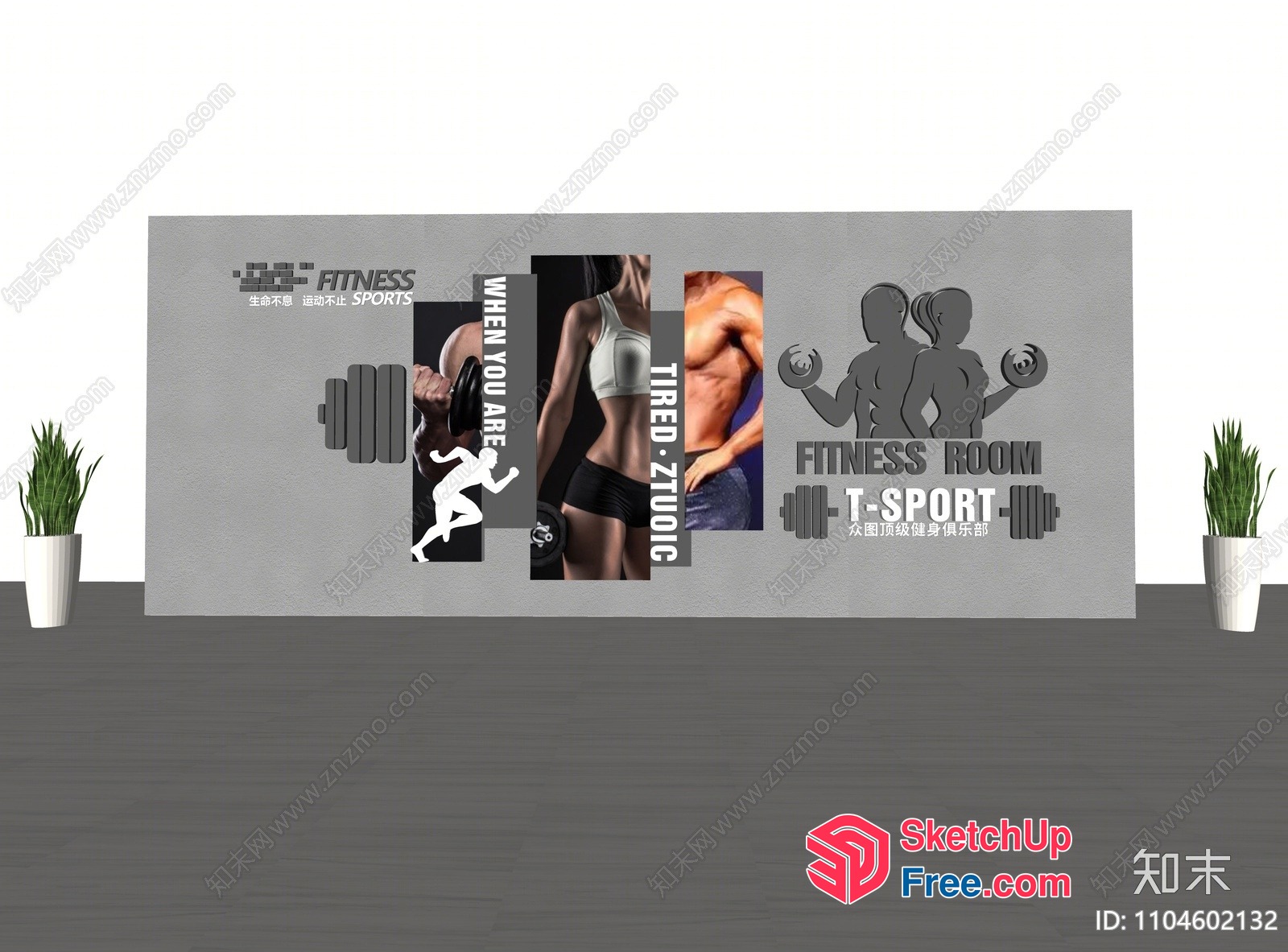 A Fitness-Themed Interior Design Concept 3D SketchUp File