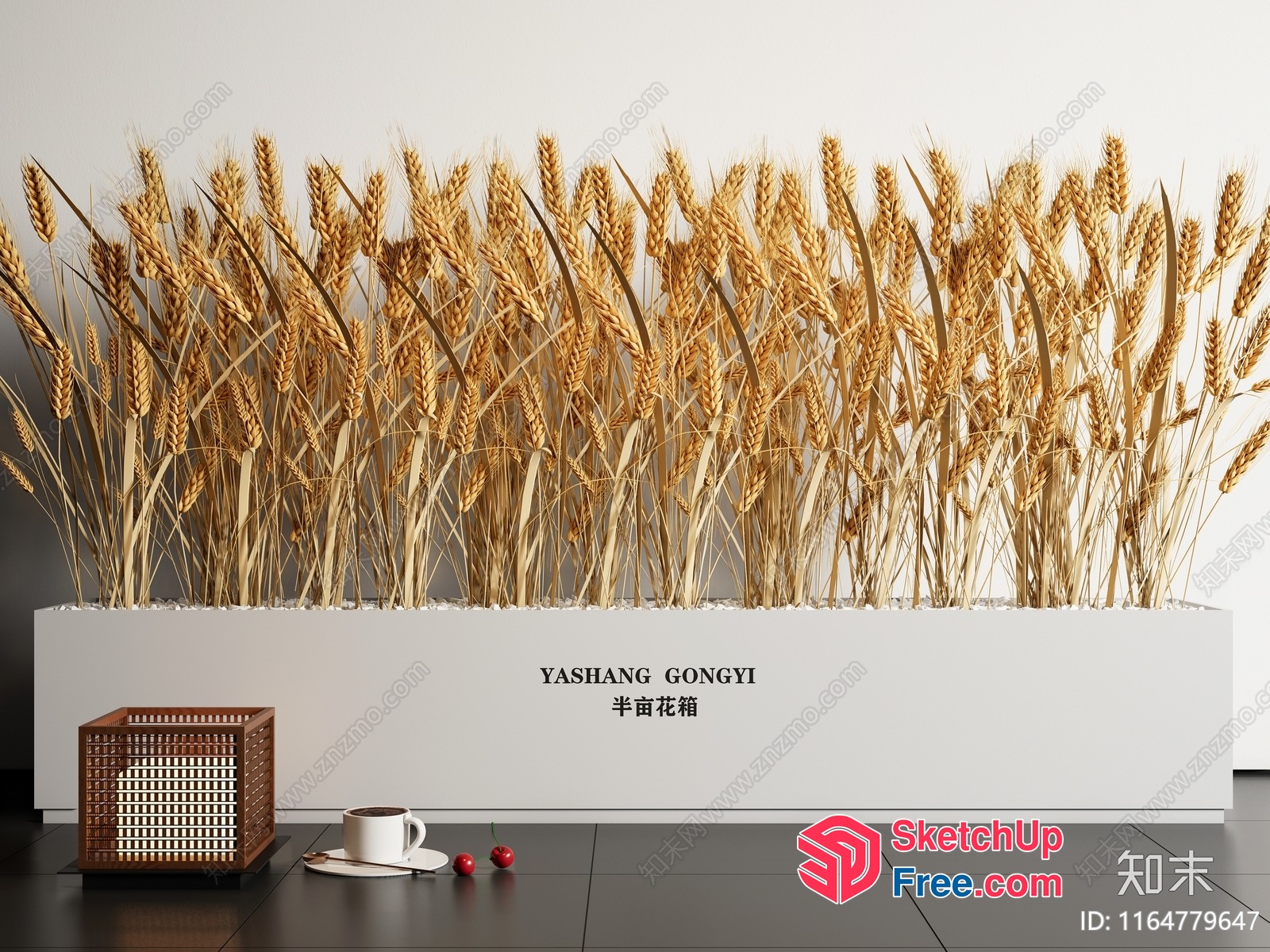 Golden Wheat Display With Cup And Box 3D SketchUp File