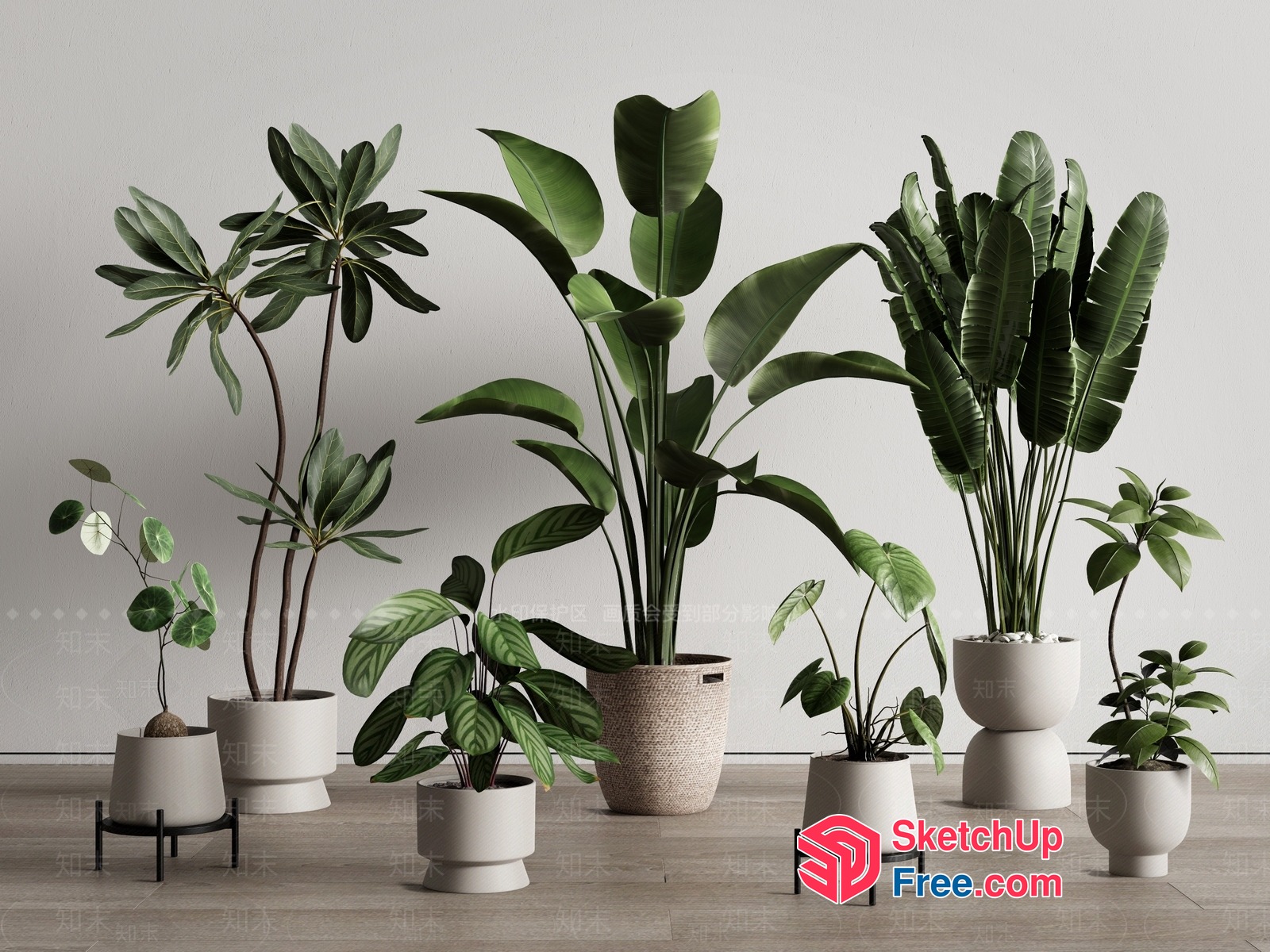 Potted Tropical Plants Collection 3D SketchUp File