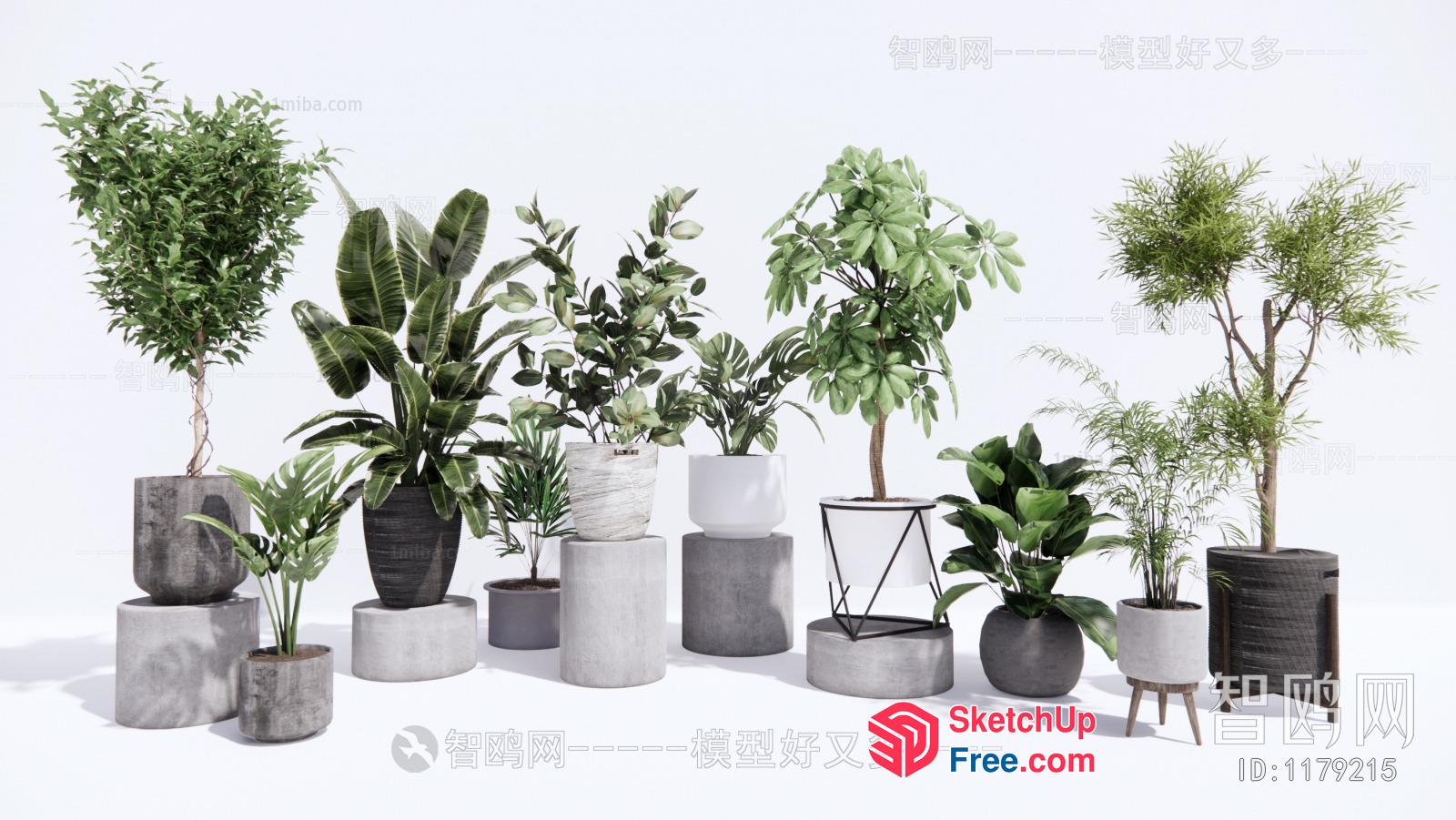 Modern Green Plants In Pots And Vases 3D SketchUp File