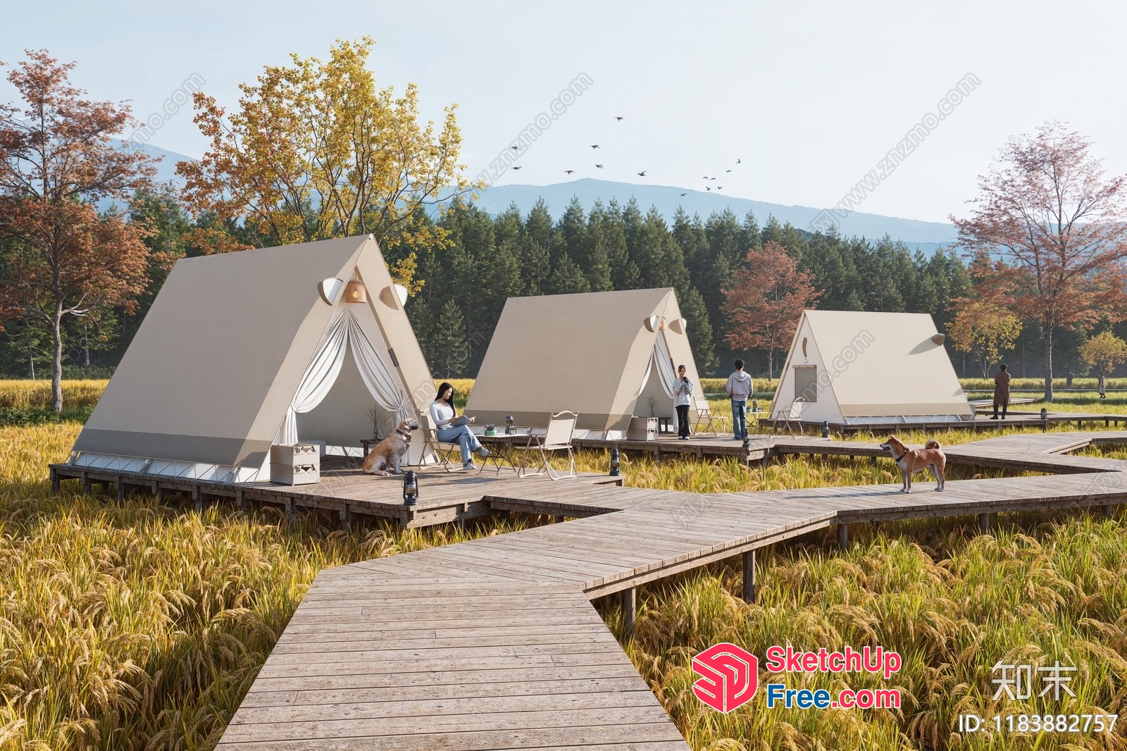 Outdoor Camping Site With Wooden Pathway And A-Frame Tents 3D SketchUp File