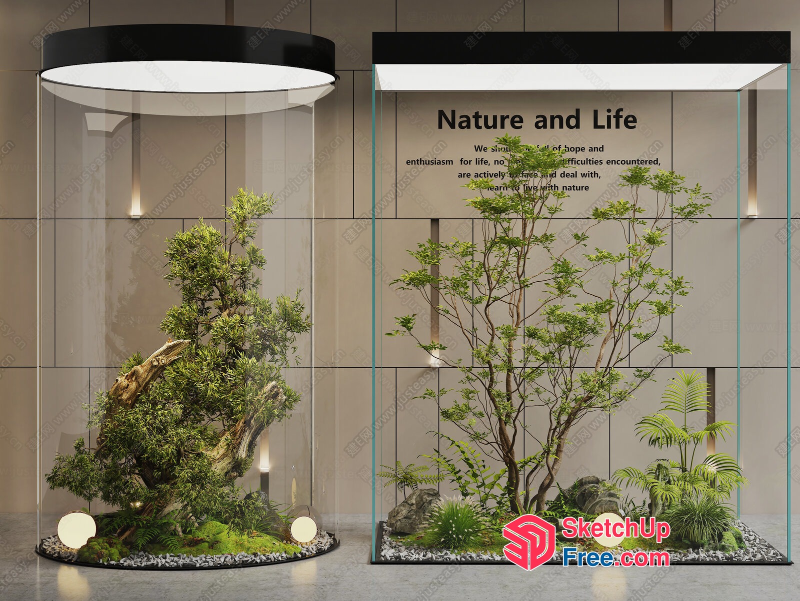 Nature And Life Display 3D SketchUp File