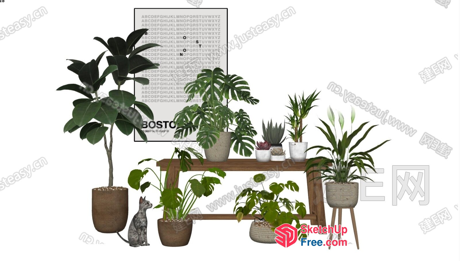 3D Rendered Plants And Potted Plants In A Room 3D SketchUp File