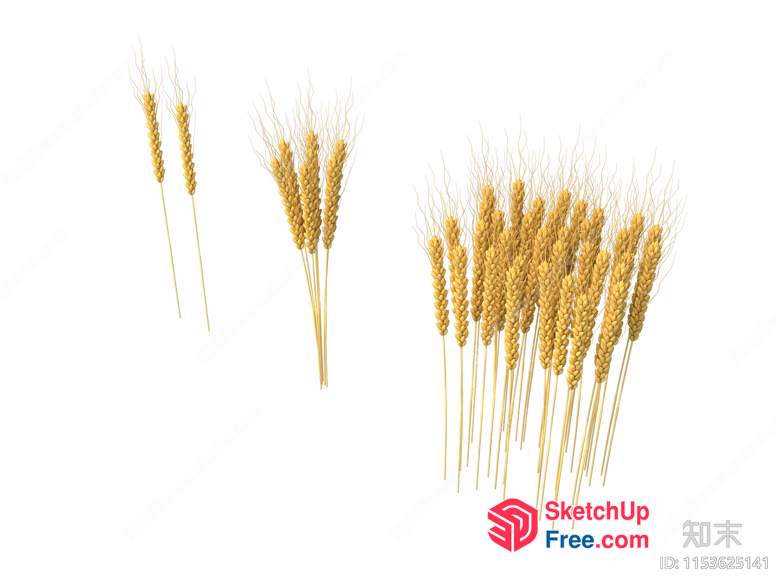 Wheat Sheaves And Stalks On Black Background 3D SketchUp File