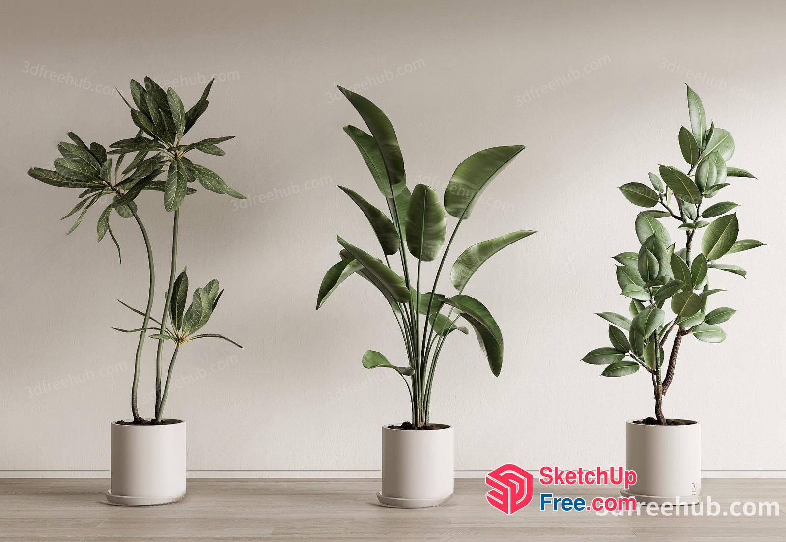 Potted Plants In White Pots 3D SketchUp File