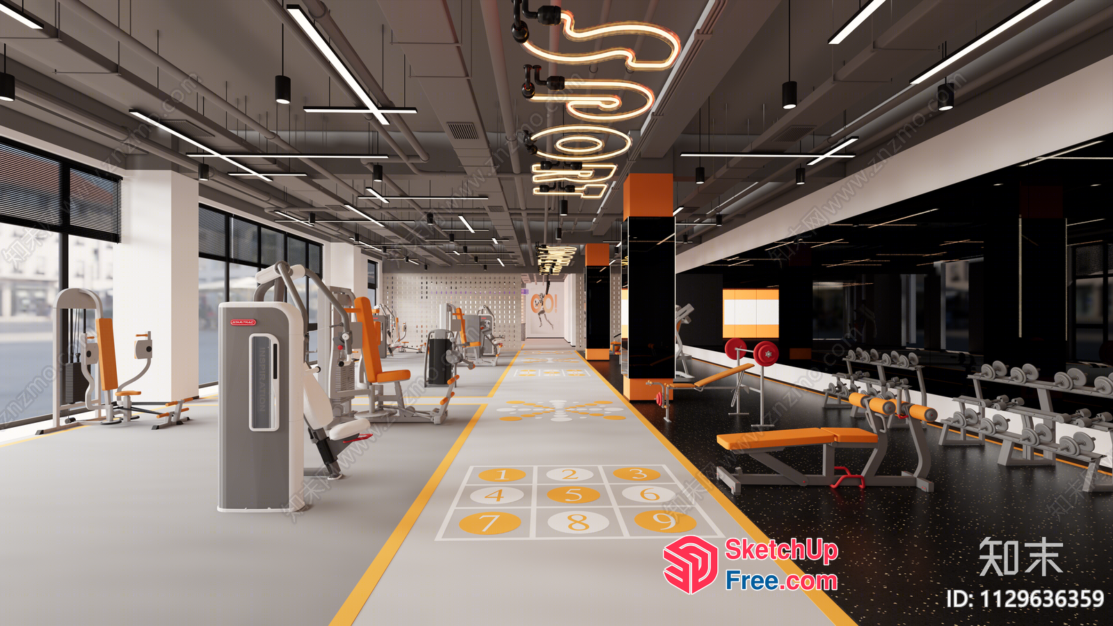 Modern Gym Interior With Functional Equipment And Sports Decor 3D SketchUp File