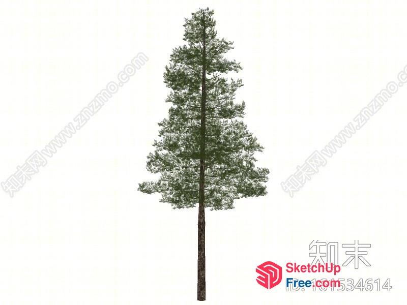 Tree With Green Leaves 3D SketchUp File