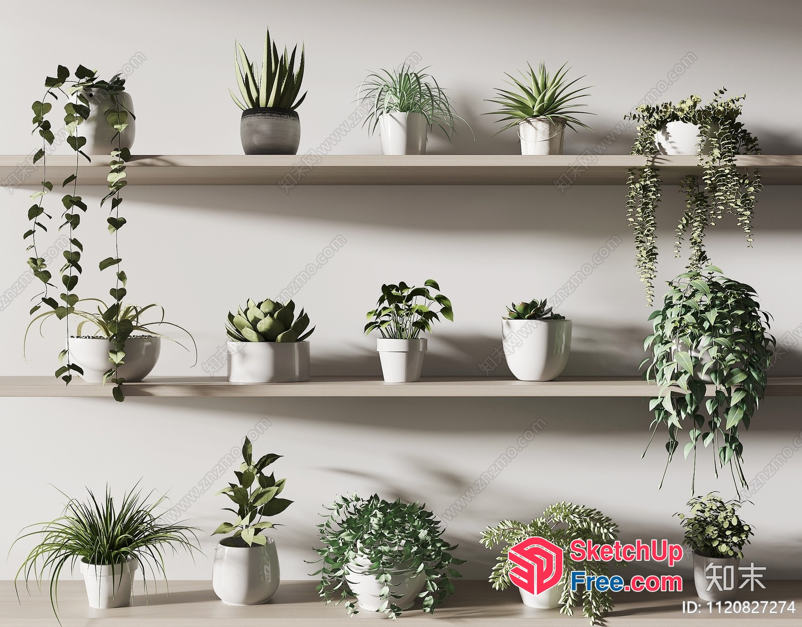 Potted Plants On Shelves 3D SketchUp File