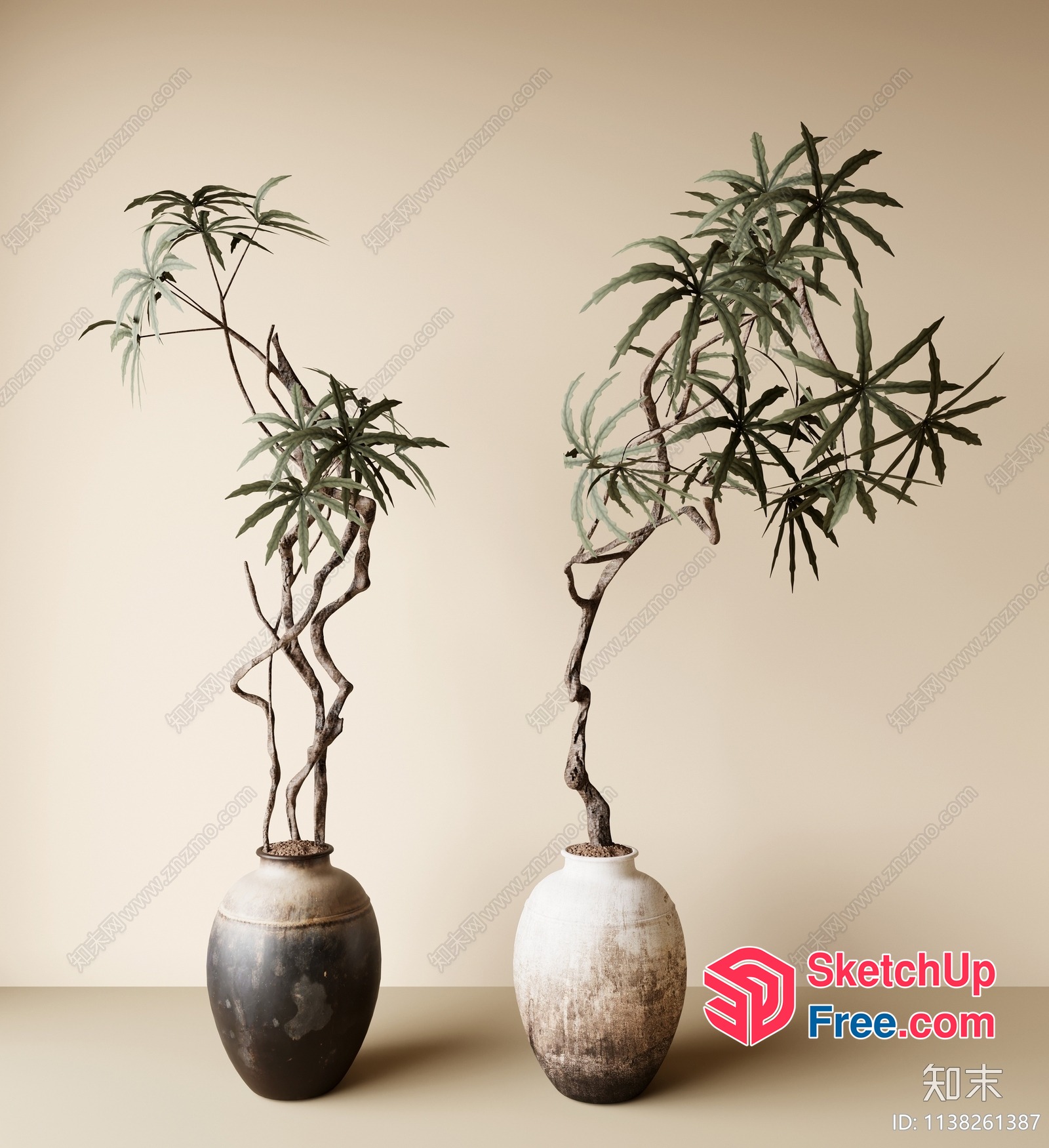 Two Elegant Potted Plants In Distressed Vases 3D SketchUp File