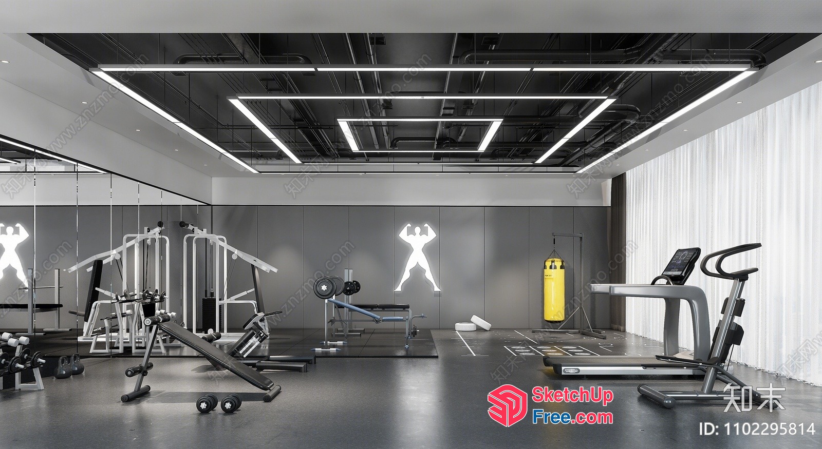 Modern Gym Interior With Sleek Equipment And Minimalist Decor 3D SketchUp File