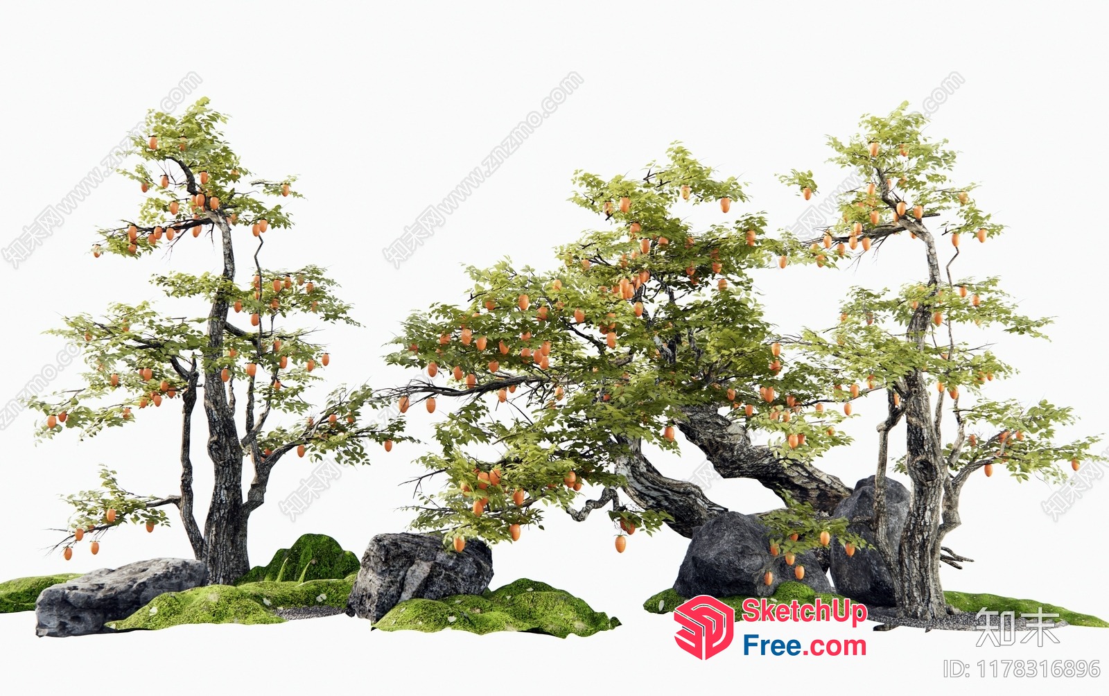 Three Trees In A Garden Landscape 3D SketchUp File
