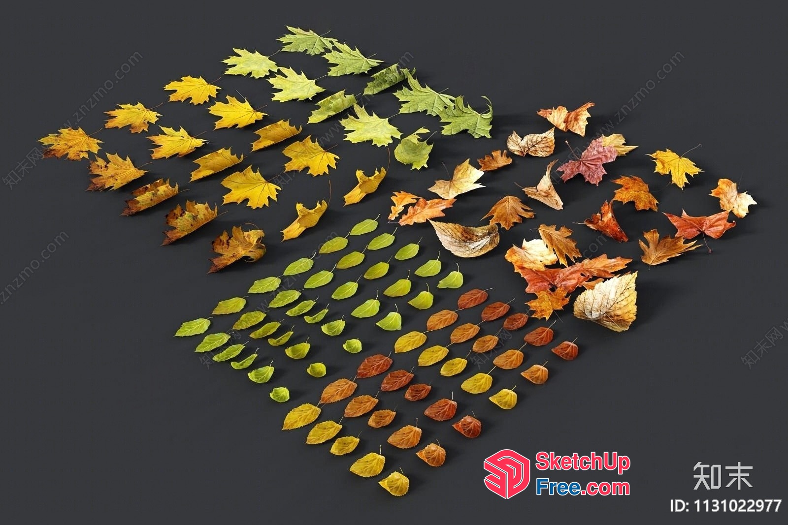 Colorful Autumn Leaves Collection 3D SketchUp File