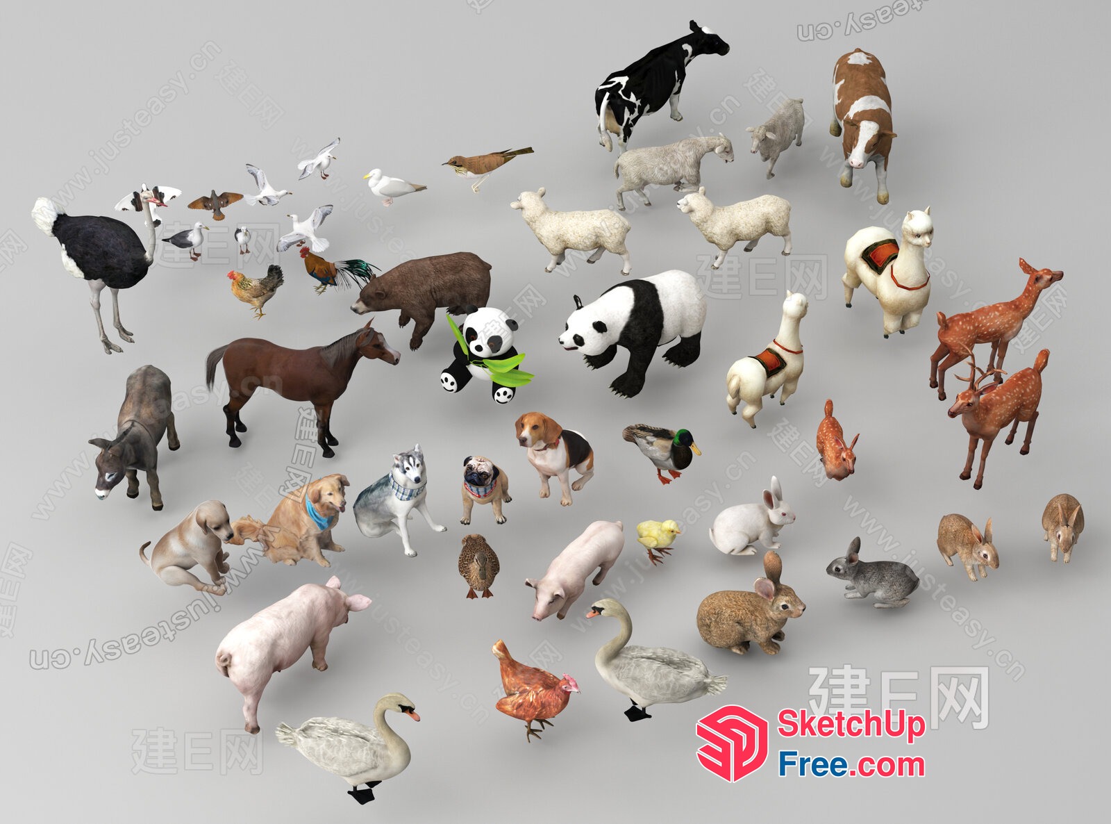 Animal Collection 3D SketchUp File