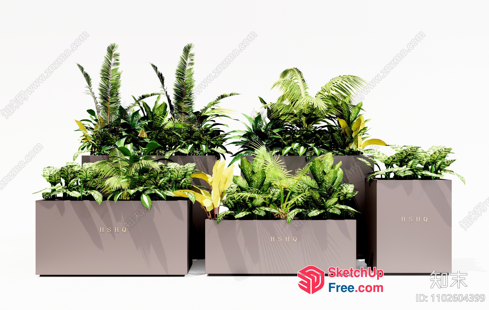 Modern Tropical Greenery In Large Planters 3D SketchUp File
