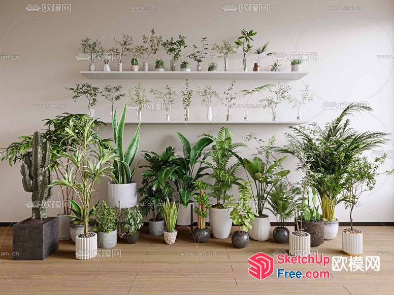 Potted Plants In A Modern Home Setting 3D SketchUp File