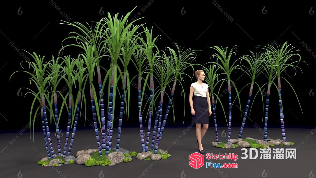 3D Rendering Of A Woman Standing Beside Tall Plants 3D SketchUp File