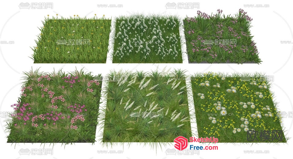 Six Different Types Of Grass And Flowers 3D SketchUp File