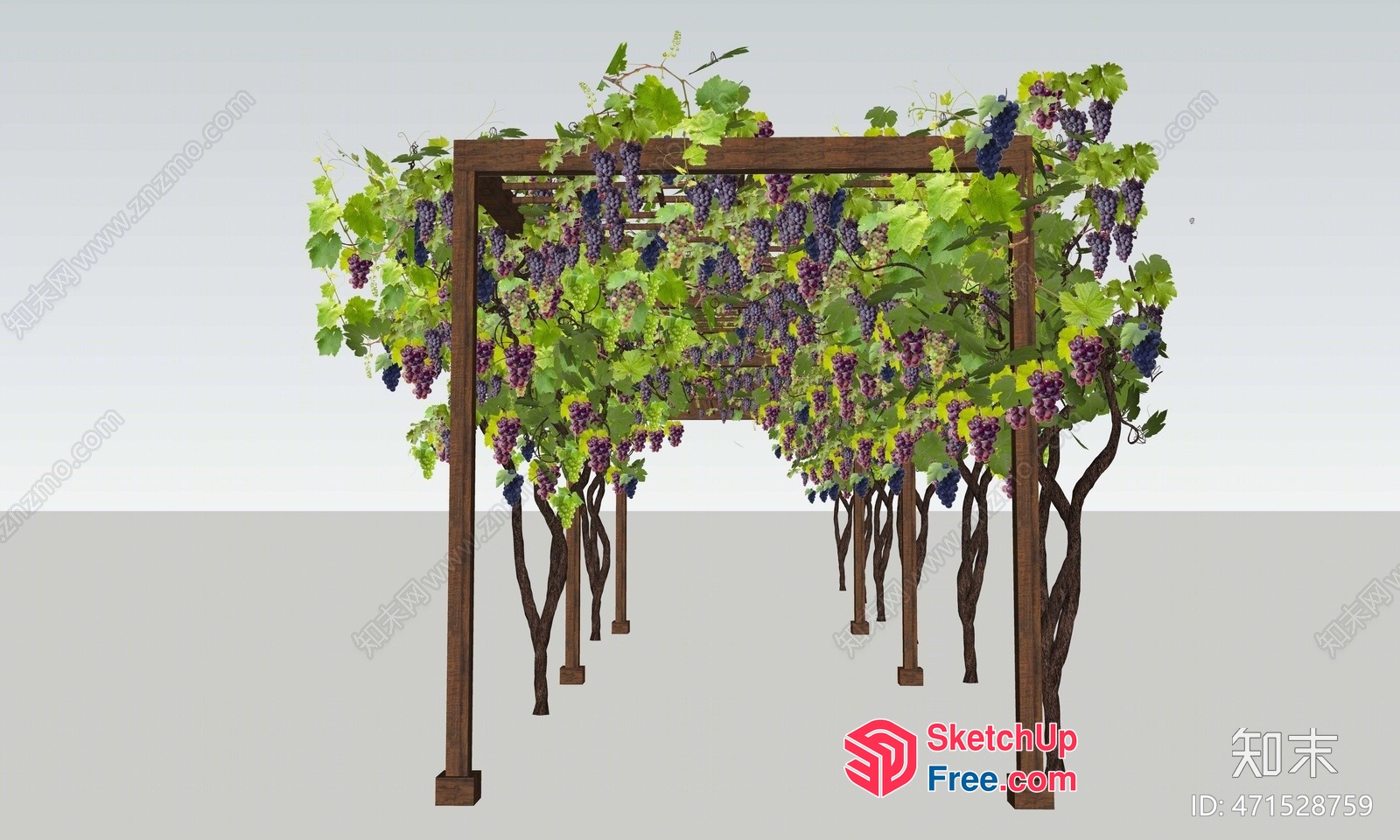 Grapevine Trellis With Wooden Frame 3D SketchUp File