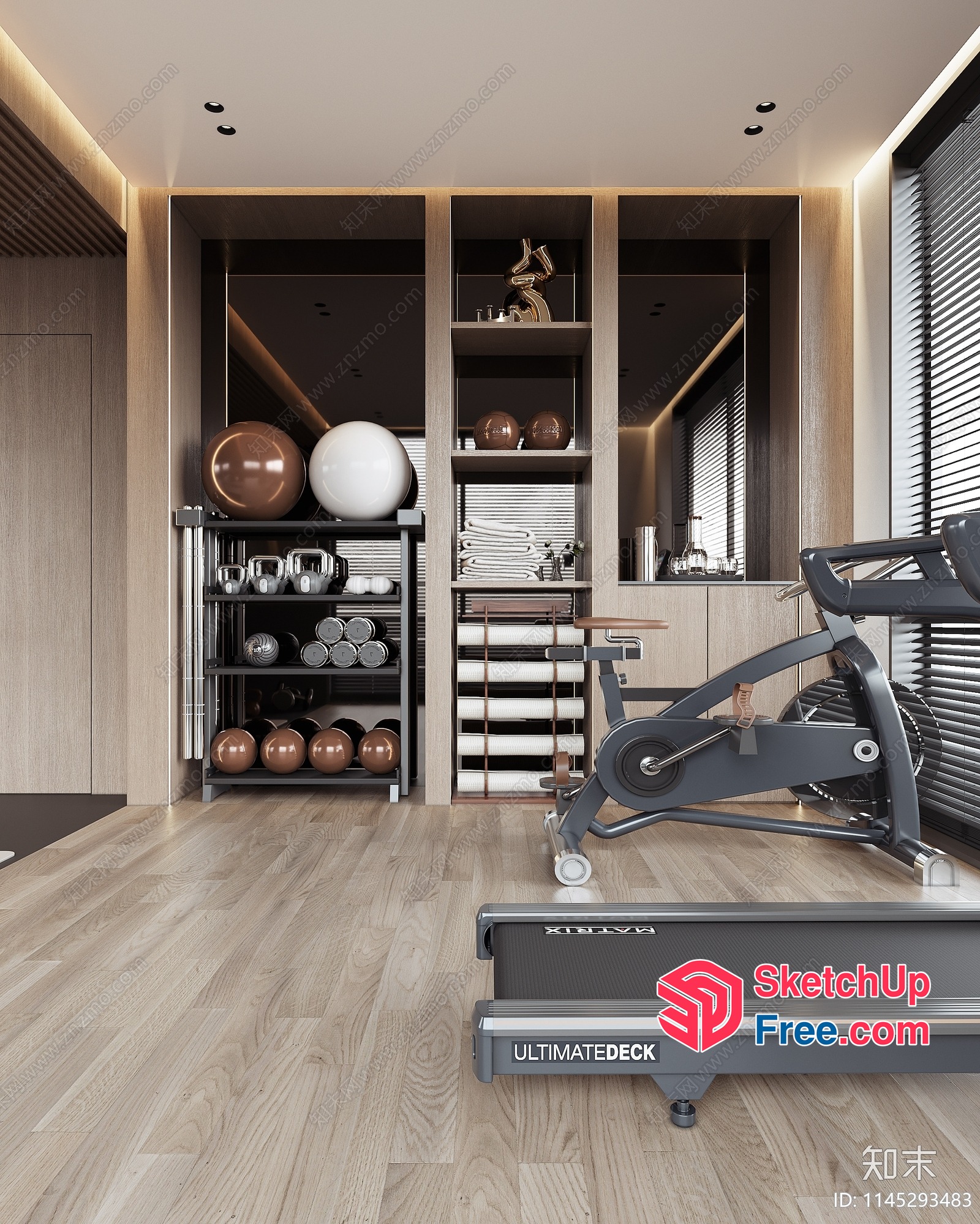 Modern Gym Interior With Exercise Equipment And Decor 3D SketchUp File