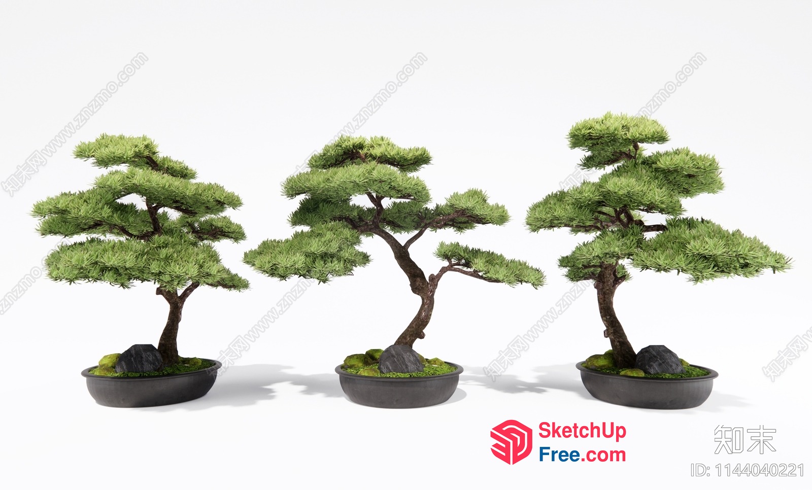 Three Potted Japanese Style Trees 3D SketchUp File
