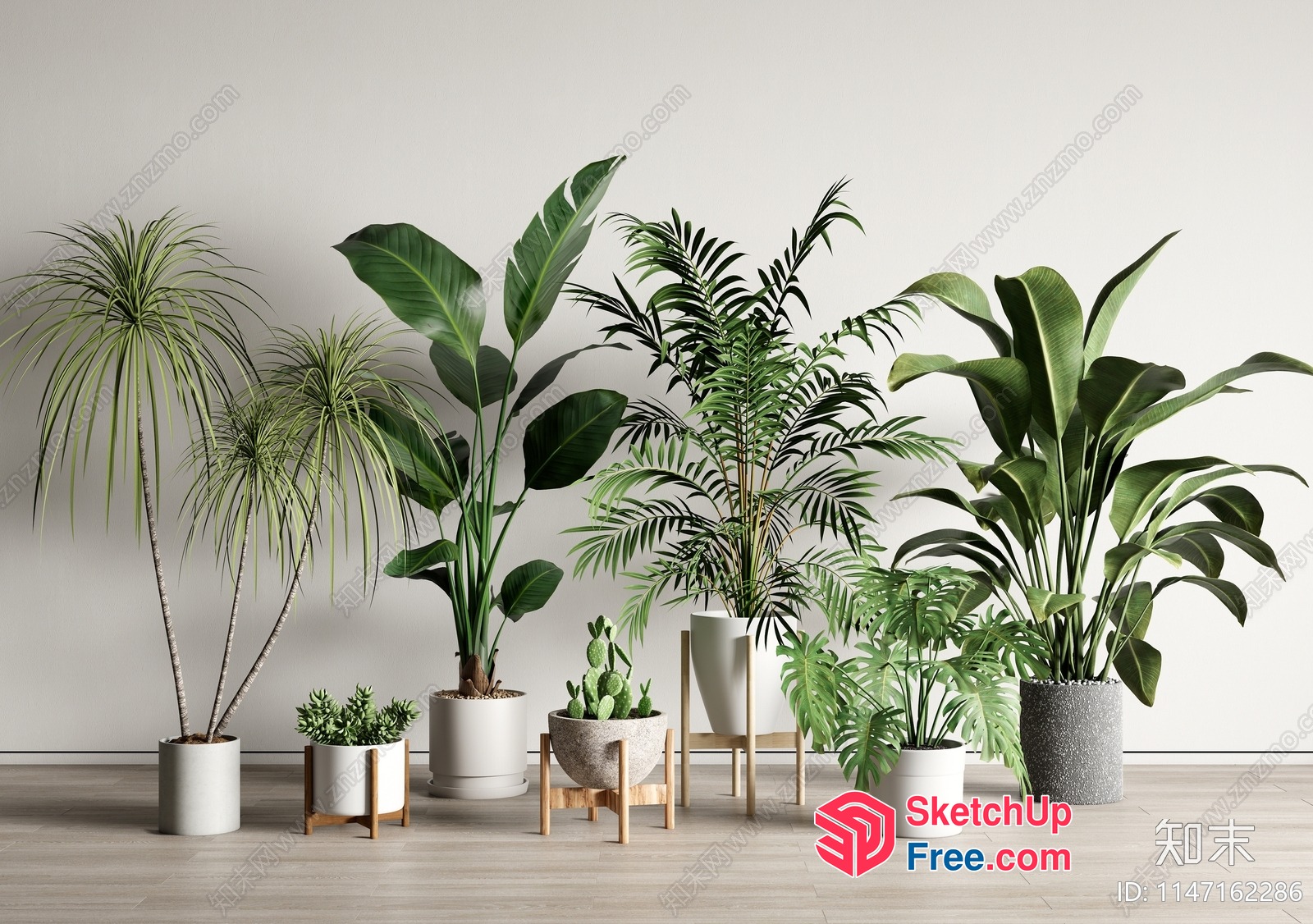 A Variety Of Potted Plants In A Modern Interior Setting 3D SketchUp File