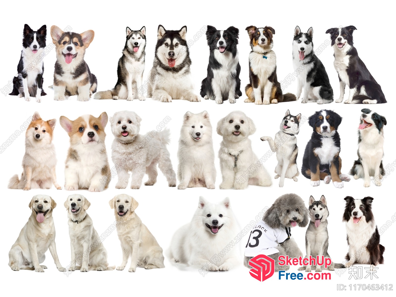 Collection Of Dogs In Various Breeds 3D SketchUp File