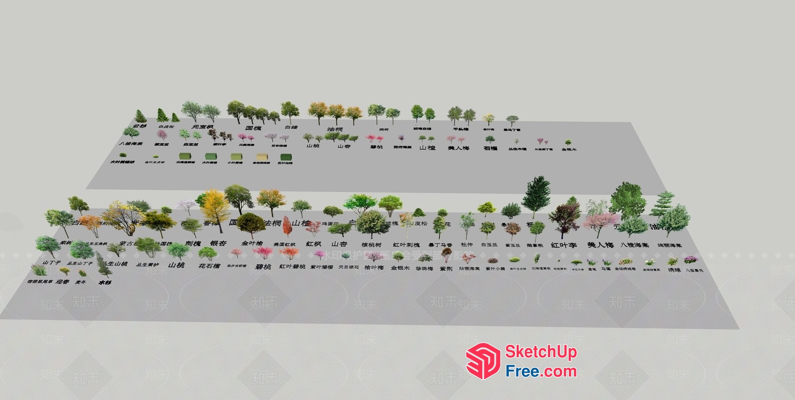Various Trees And Plants 3D SketchUp File