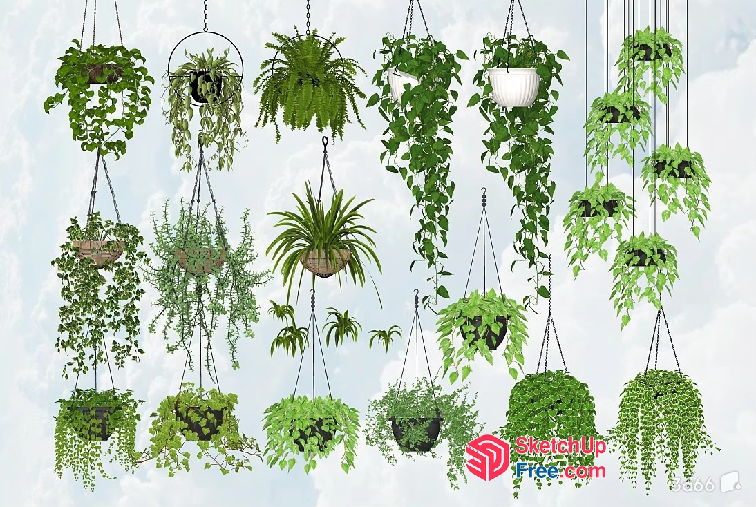 Hanging Plants Collection 3D SketchUp File
