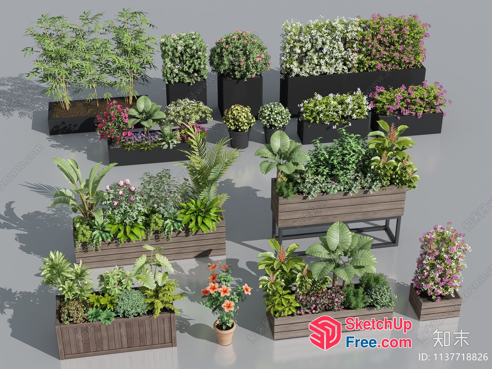 Various Potted Plants On A Grey Background 3D SketchUp File