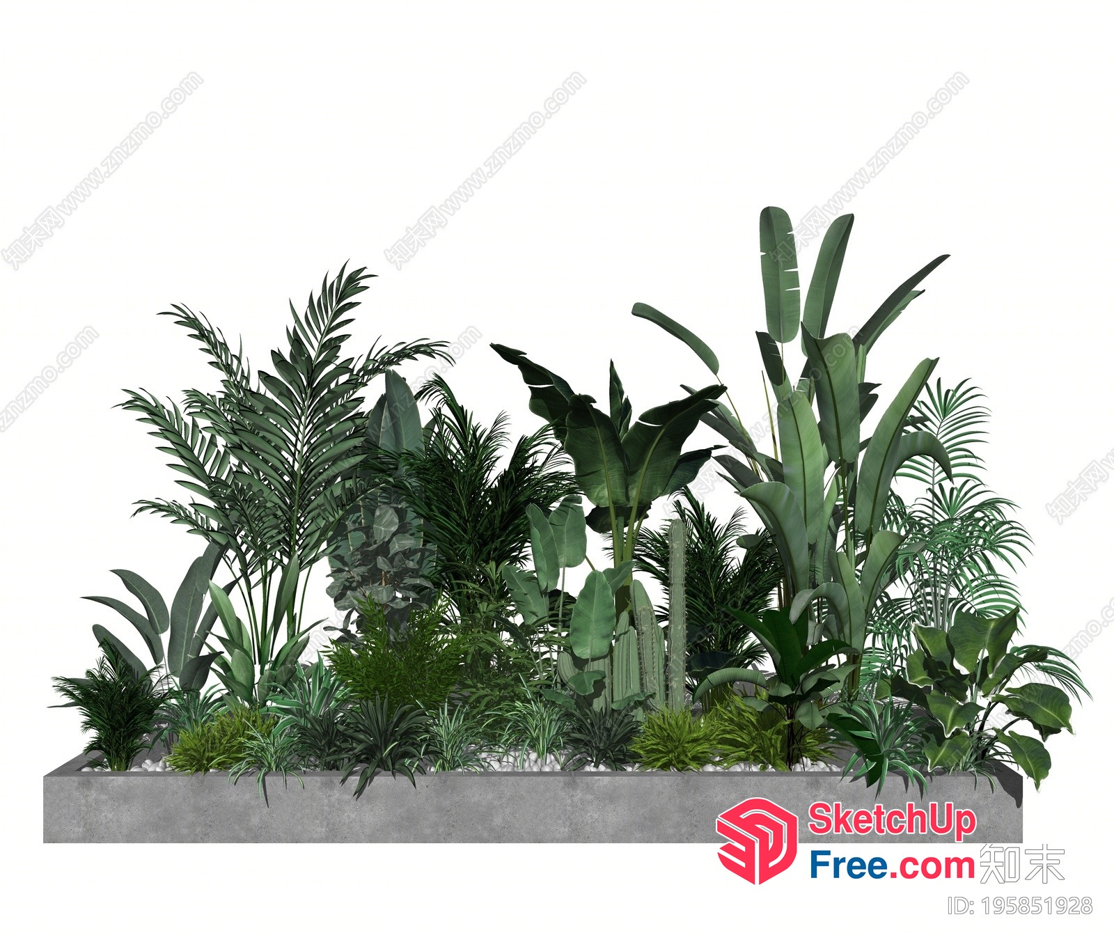 Tropical Plant Arrangement In Concrete Planter 3D SketchUp File